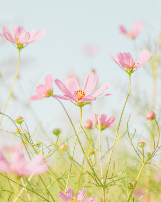 10 Ways to Love Yourself After Baby Loss